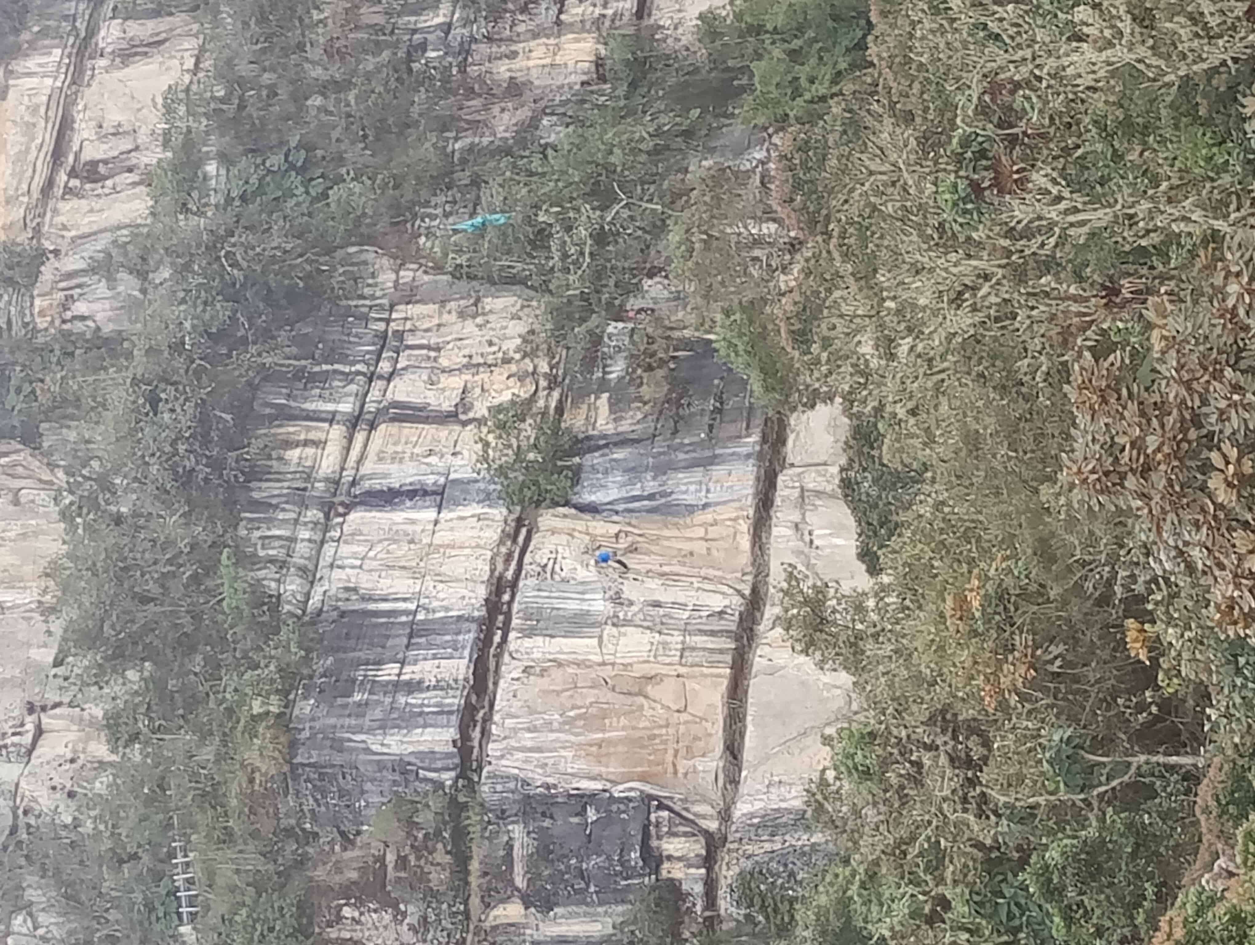 Vista del muro desde el bosque